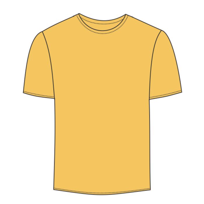 Softstyle® Youth Midweight T-Shirt Thumbnail